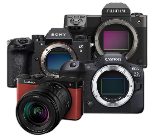 Mirrorless Cameras category